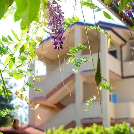 In With Balcony, Air Condition, Wifi Apartman